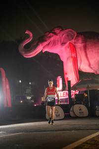 BIB: 
                            <button type="button" onclick="openModal(26531010)" class="btn btn-primary btn-sm float-right btn-popup" data-toggle="modal" data-target=".modal-high-quality">
                        <i class="fas fa-shopping-cart"></i> Add to Cart
                    </button>
                                            <button type="button" onclick="isThisMe(26531010, true)" class="btn btn-success btn-sm float-right btn-popup btn-isme hidden" data-toggle="tooltip" data-placement="bottom" title="นี่คือรูปของคุณใช่ไหม คลิกที่นี่เพื่อเอาเข้าอัลบั้ม">
                        <i class="fas fa-plus"></i> Add to album
                    </button>
                    <button type="button" onclick="isThisMe(26531010, false)" class="btn btn-warning btn-sm float-right btn-popup btn-isnotme hidden">
                        <i class="fas fa-ban"></i> Remove from album
                    </button>